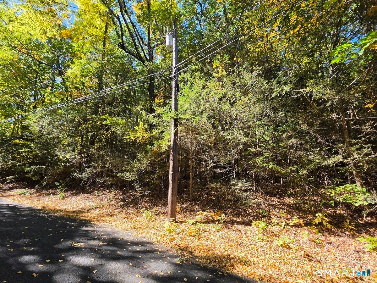 35 Blue Ridge Mountain Drive
