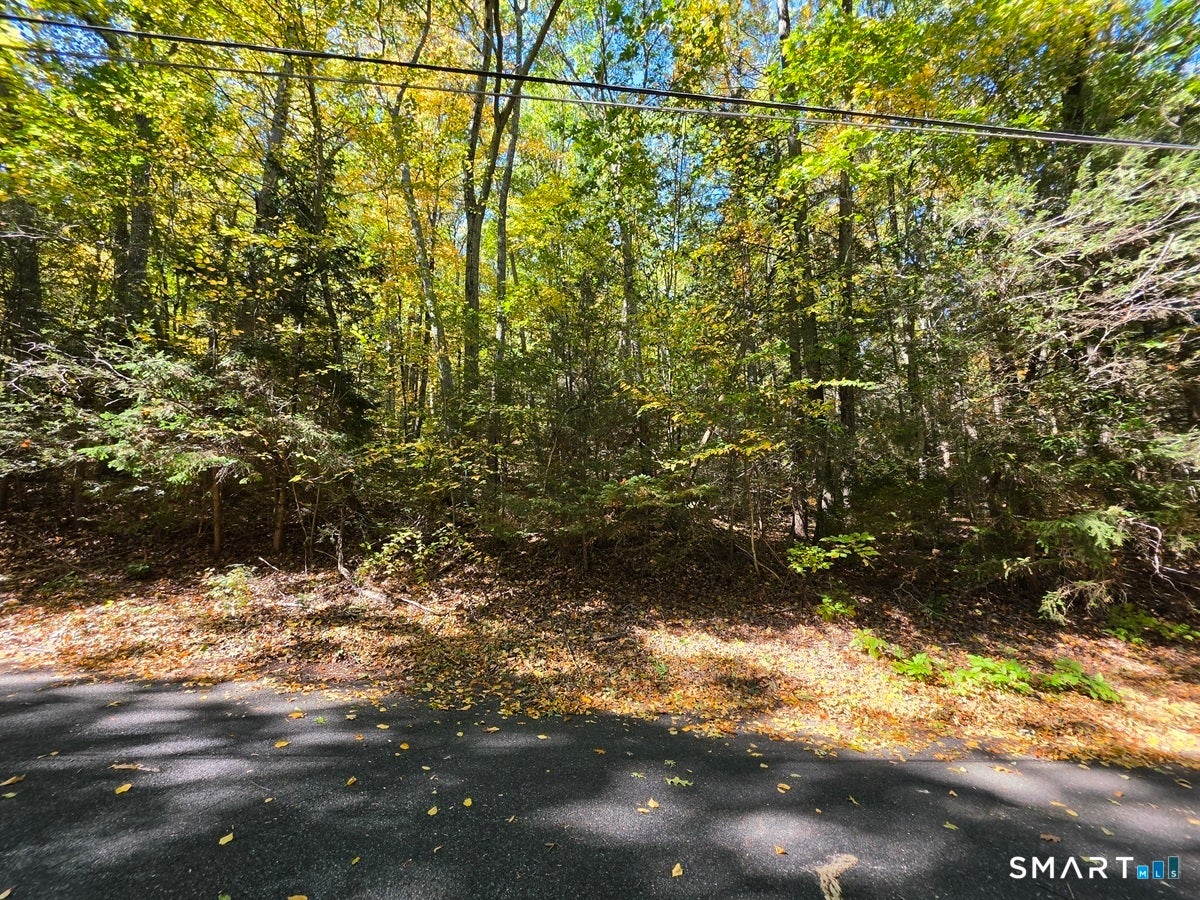 35 Blue Ridge Mountain Drive