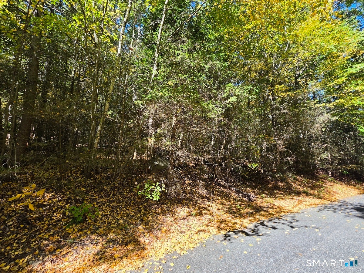 35 Blue Ridge Mountain Drive