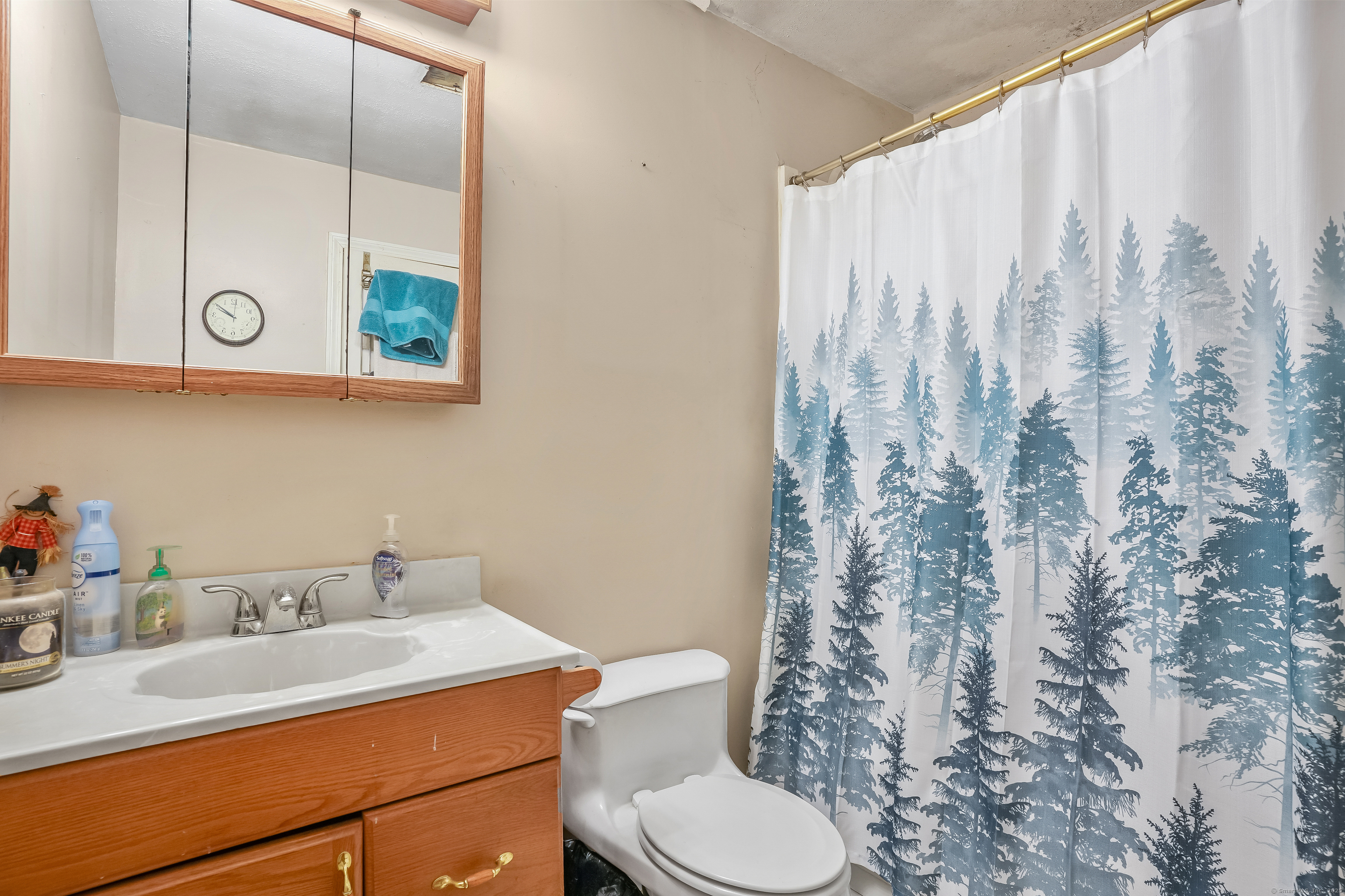3 Saxony Drive, New Milford, Connecticut image 12