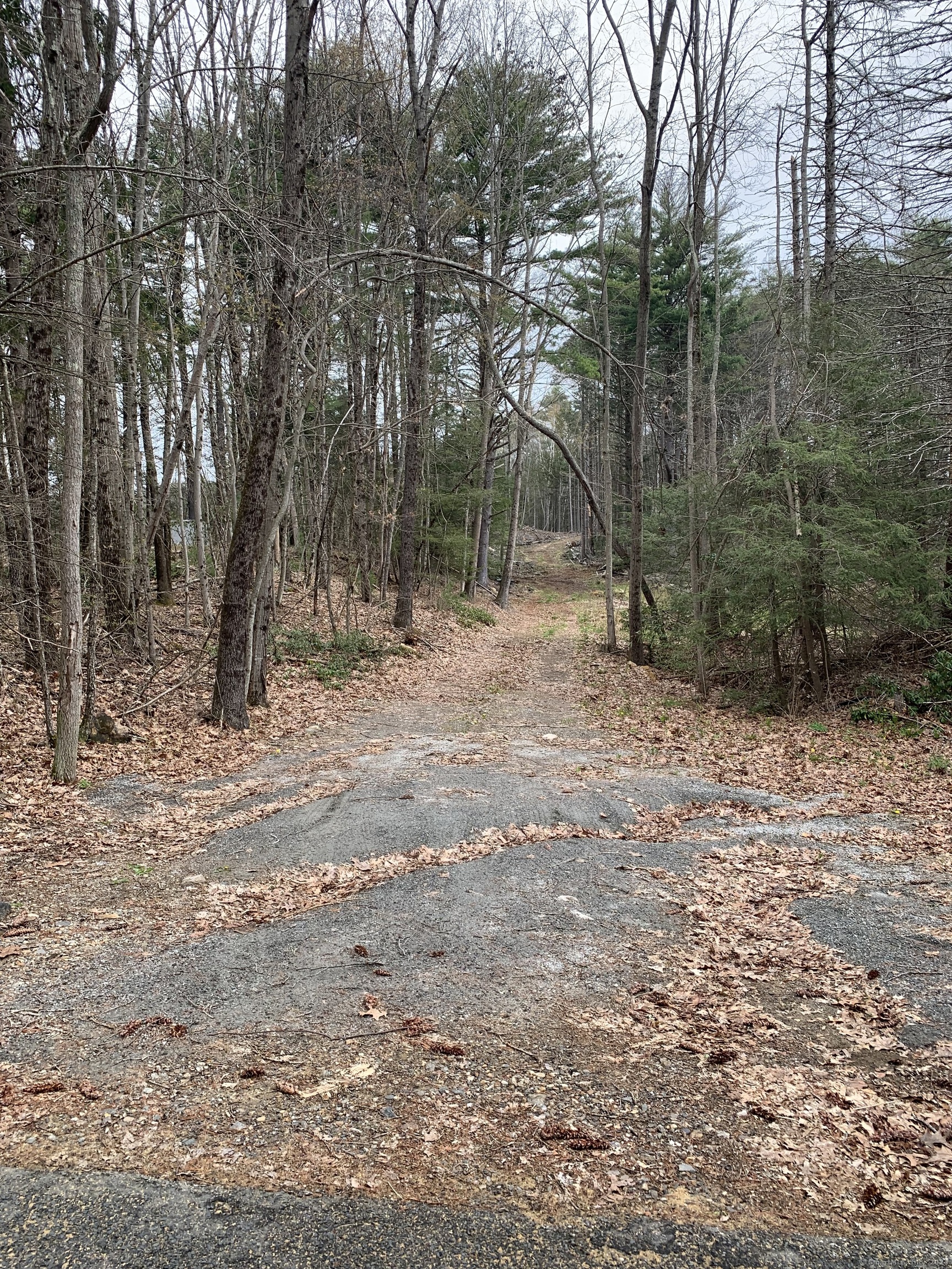 21 Szych Road