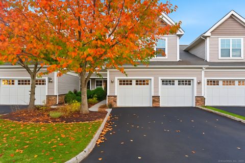 17 Briar Ridge Drive 17 Bethel CT 06801