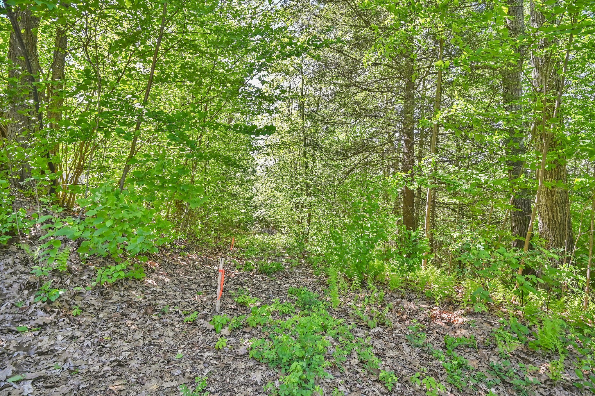 Lot 5 Ratlum Mountain Road, Barkhamsted, Connecticut image 18