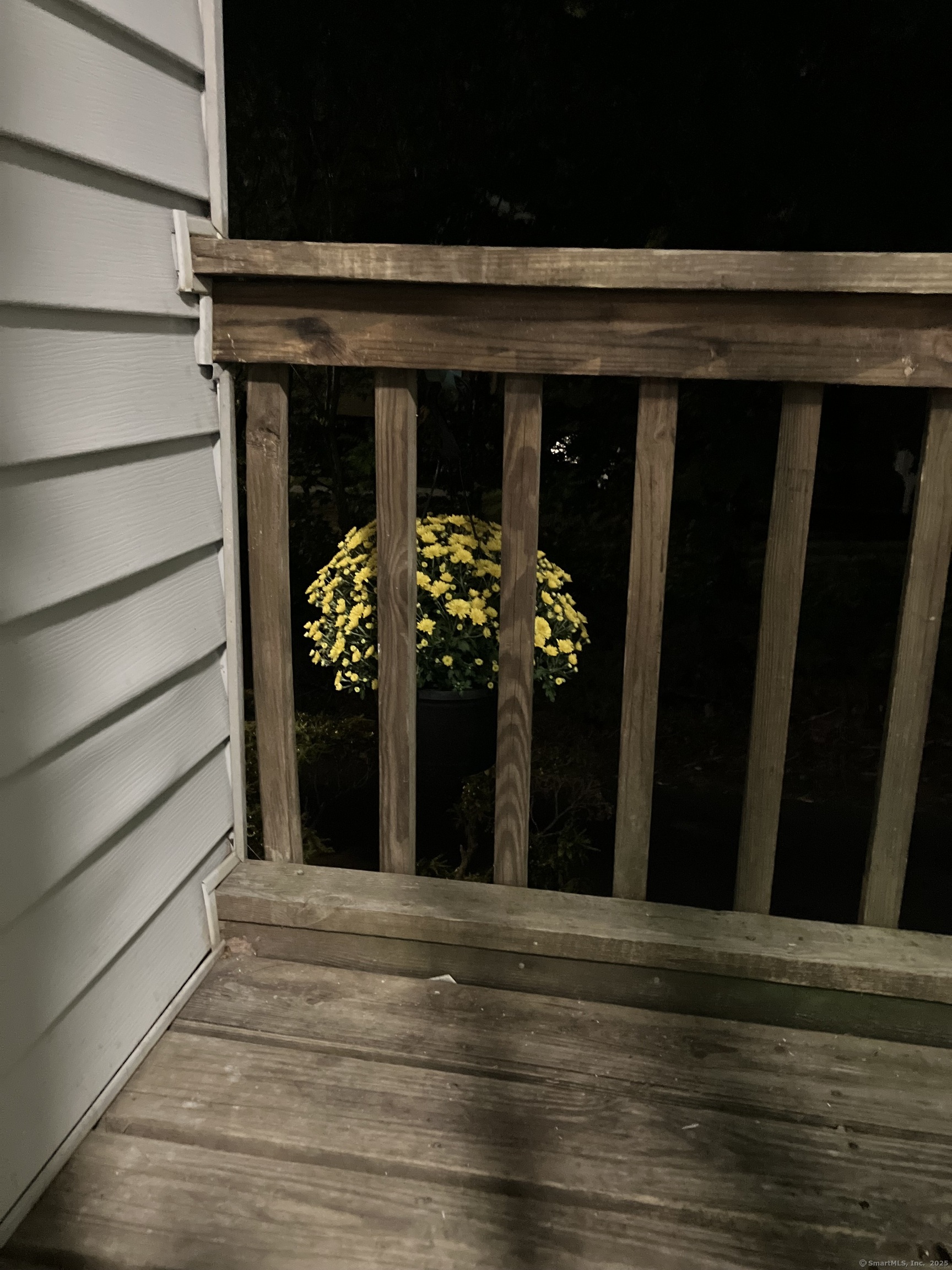 23 Shirley Street APT 5