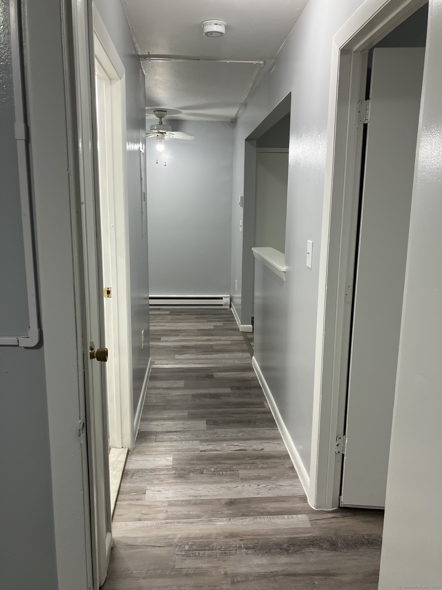 23 Shirley Street APT 5