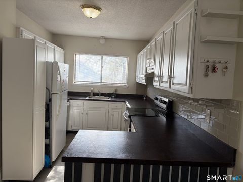 Tiny photo for 23 Franklin Street #1, Danbury, CT 06810 (MLS # 24151898)