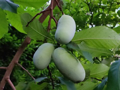 Tiny photo for 34 Davenport Drive, Stamford, CT 06902 (MLS # 24140772)