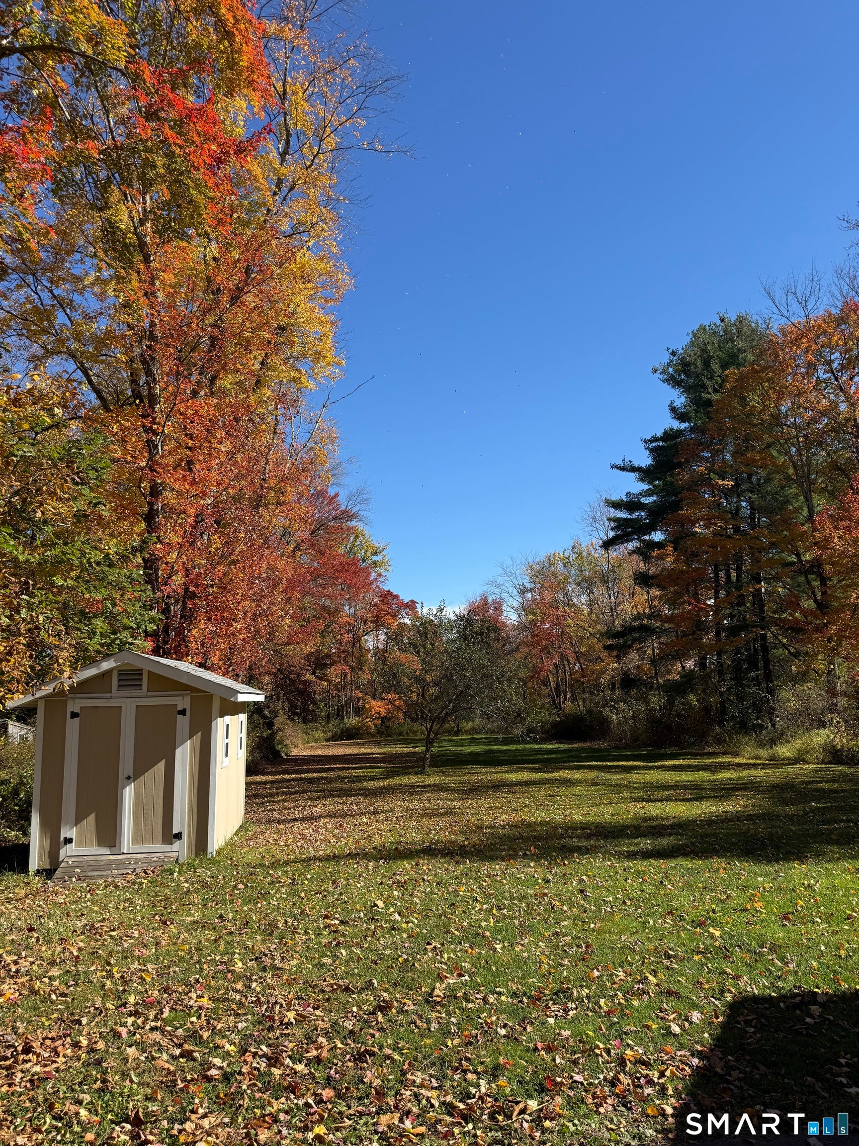 90 Campville Road