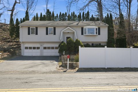 Photo of 282 Pearl Street, Seymour, CT 06483 (MLS # 24161945)