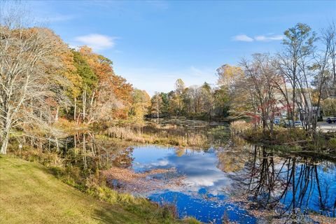 Tiny photo for 65 Main Street #8, Essex, CT 06442 (MLS # 24137598)