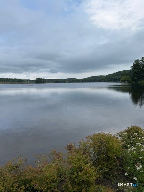 Vacant Land For Sale - Spectacle Ridge Road<br/> Litchfield County, Kent, CT 06785