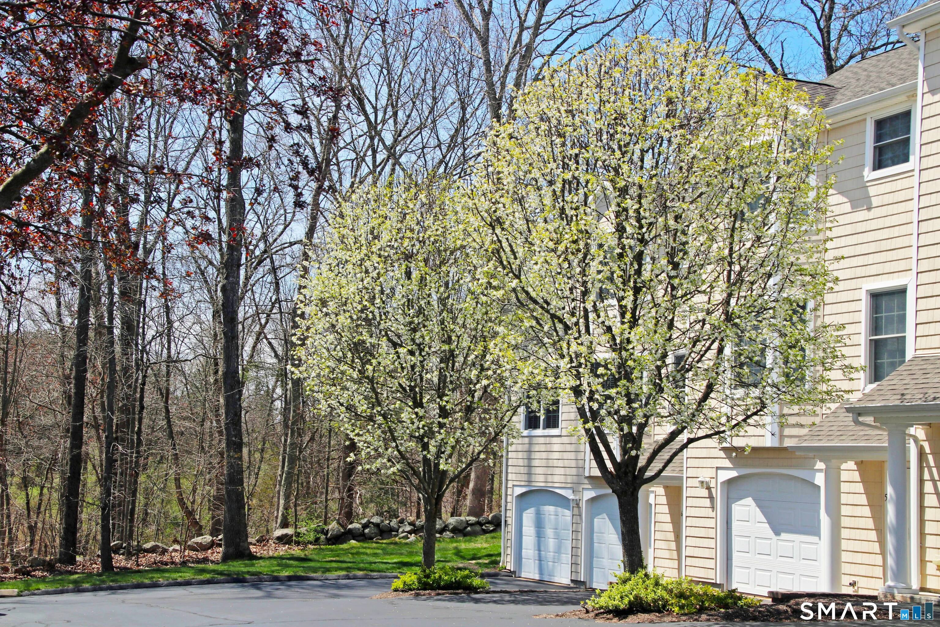 4 Parkwoods Drive 4