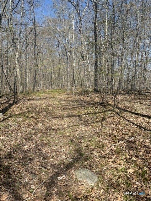 44 Chestnut Hill Road