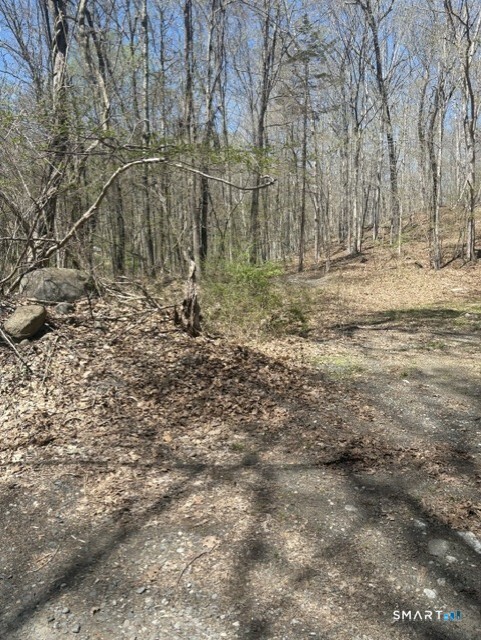 44 Chestnut Hill Road