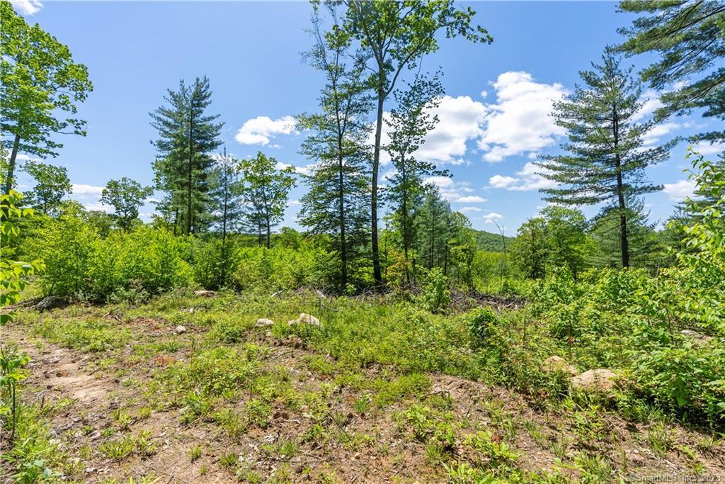 13 Dew Road, Barkhamsted, Connecticut image 11