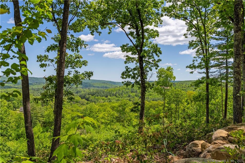 13 Dew Road, Barkhamsted, Connecticut image 13
