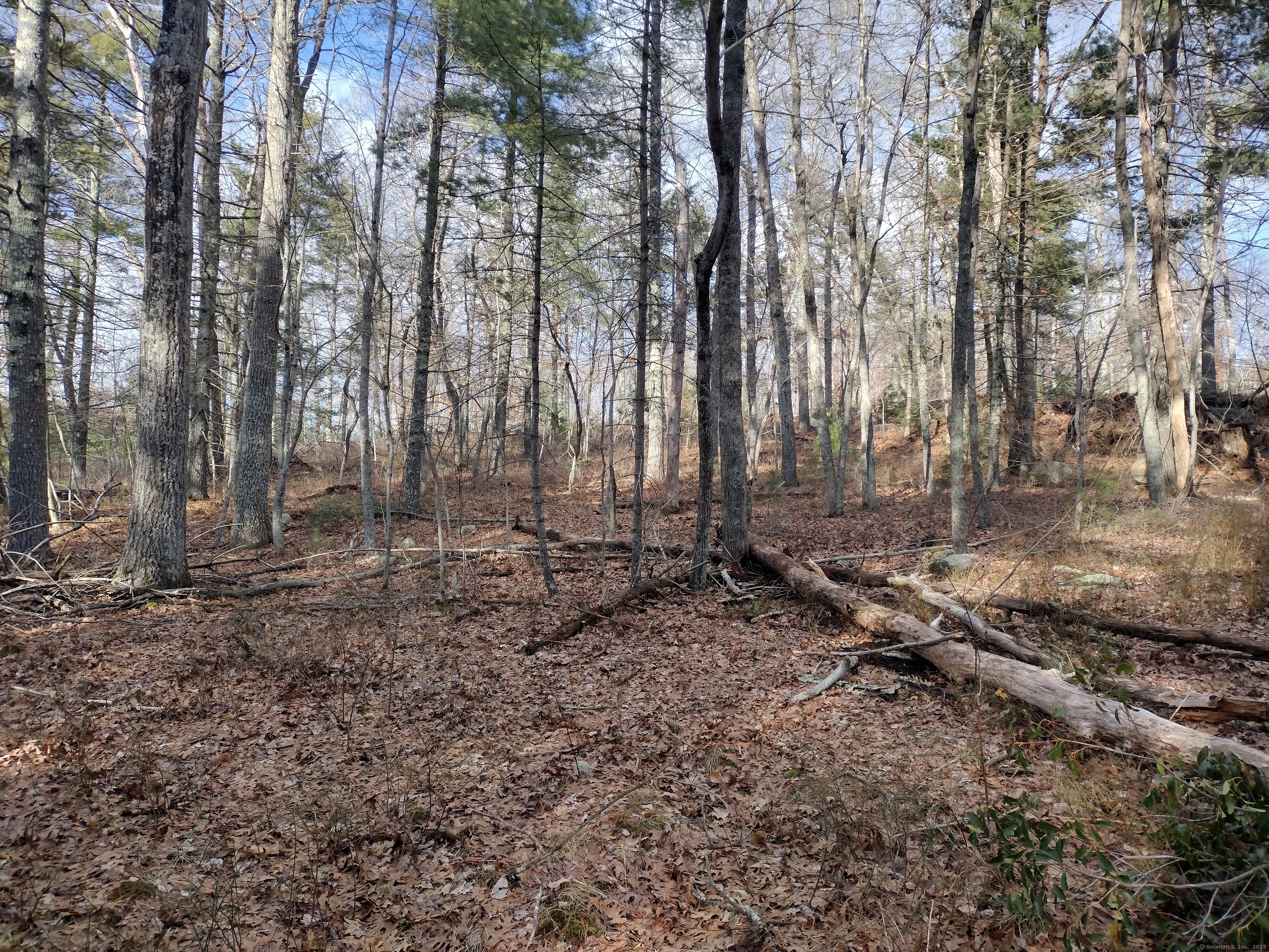 Hungry Hill Road, Sterling, Connecticut image 23