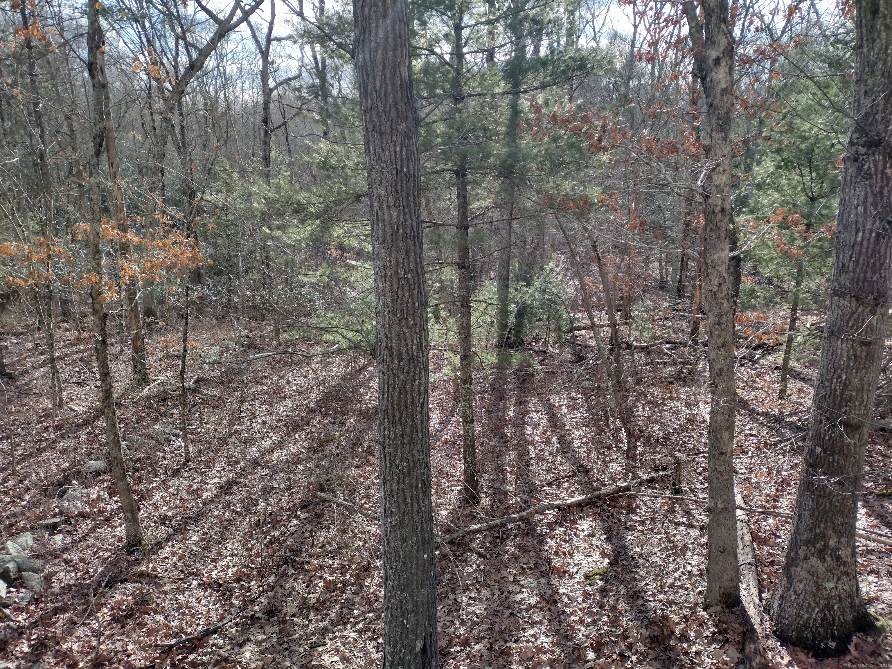 Hungry Hill Road, Sterling, Connecticut image 14