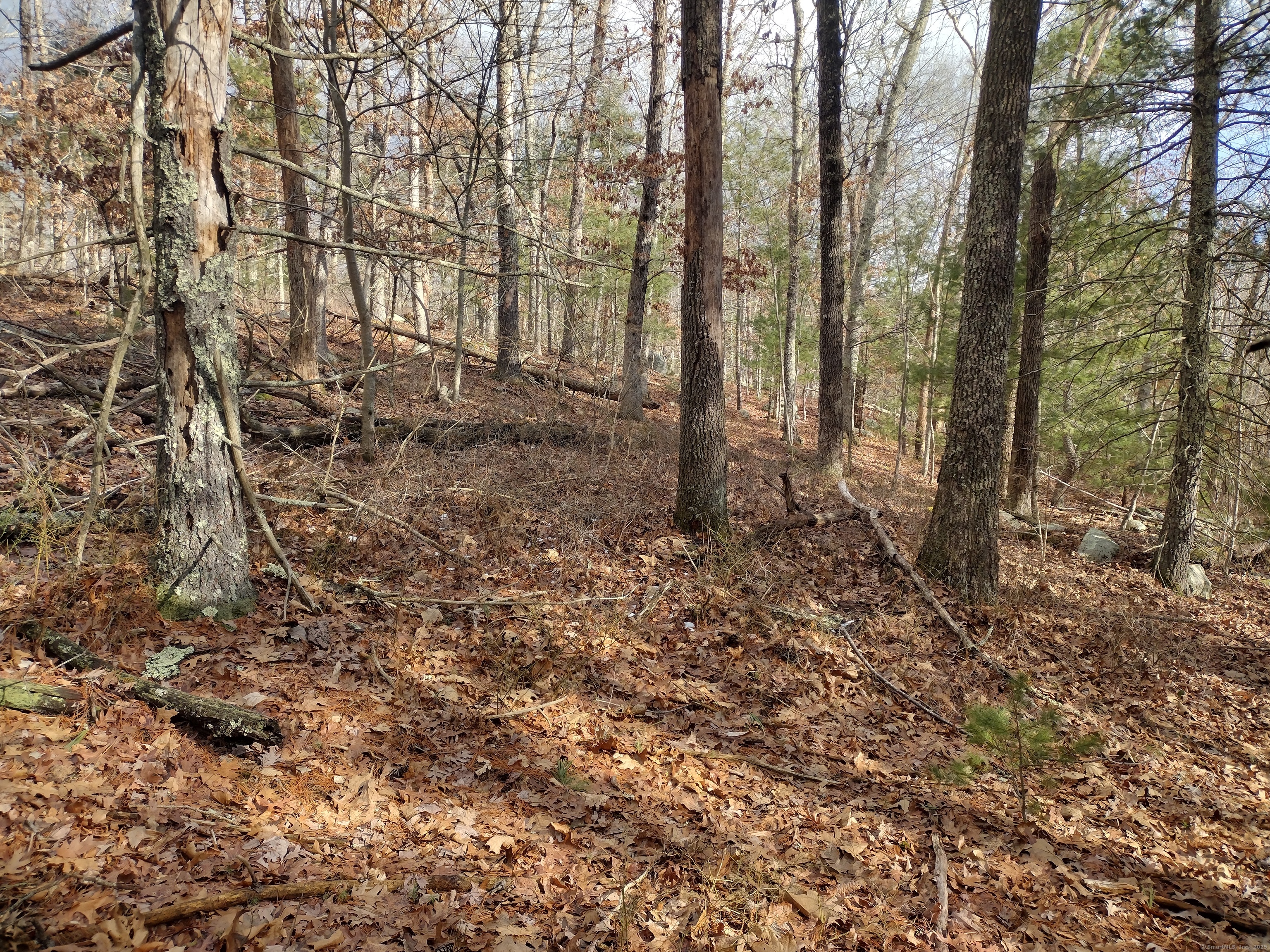 Hungry Hill Road, Sterling, Connecticut image 9