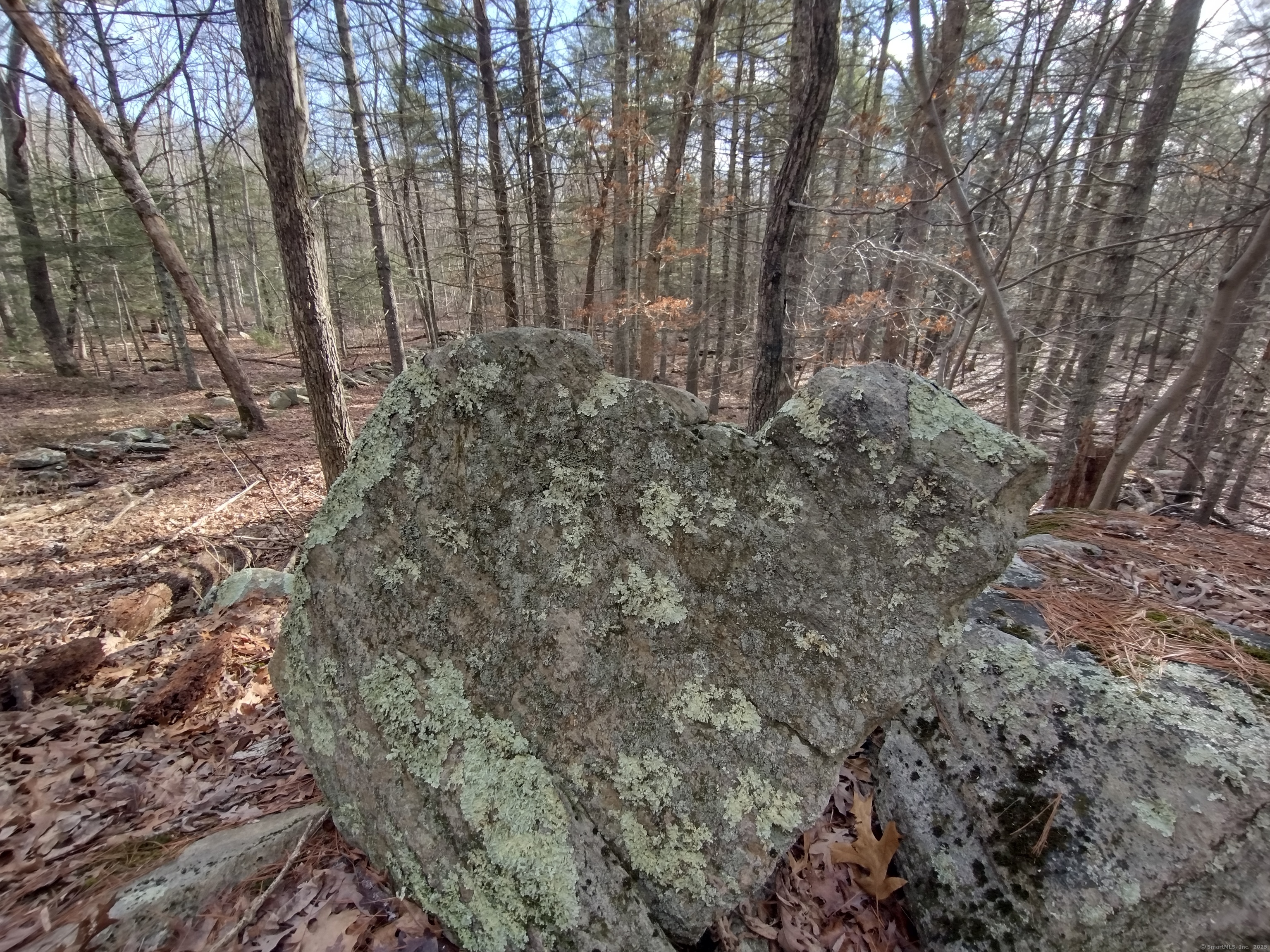 Hungry Hill Road, Sterling, Connecticut image 11
