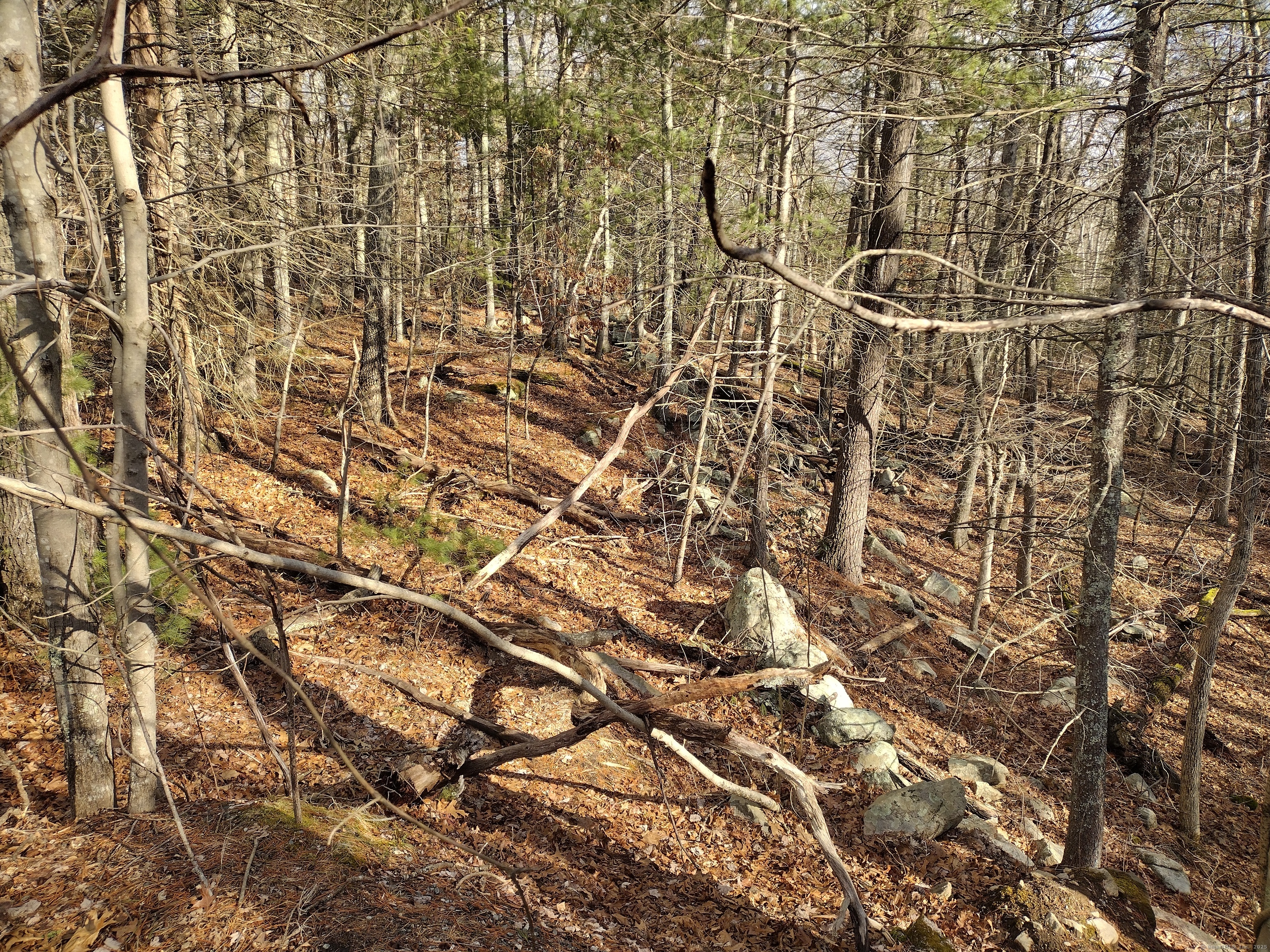 Hungry Hill Road, Sterling, Connecticut image 2