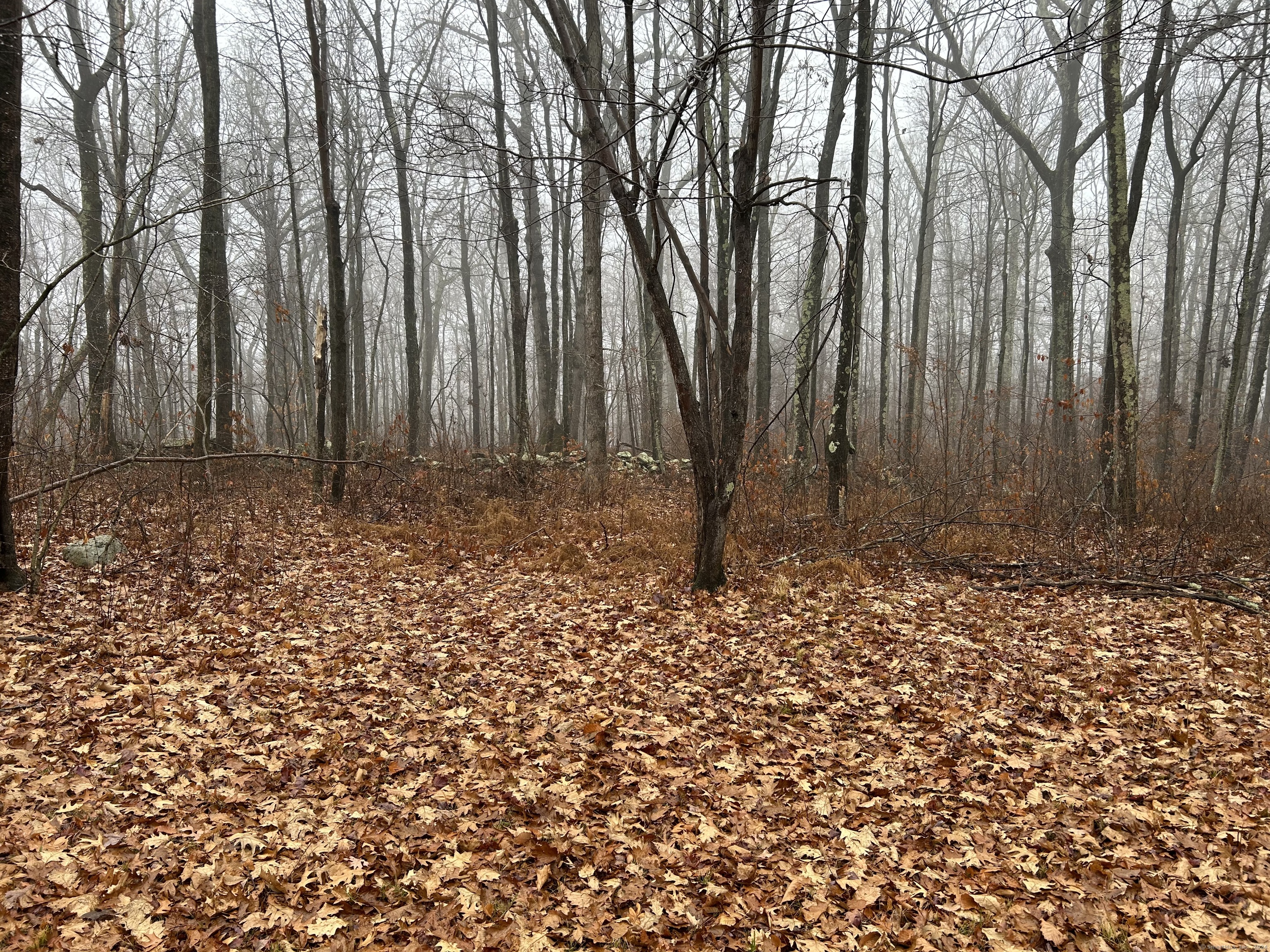Westwoods Road # 1, Sharon, Connecticut image 8