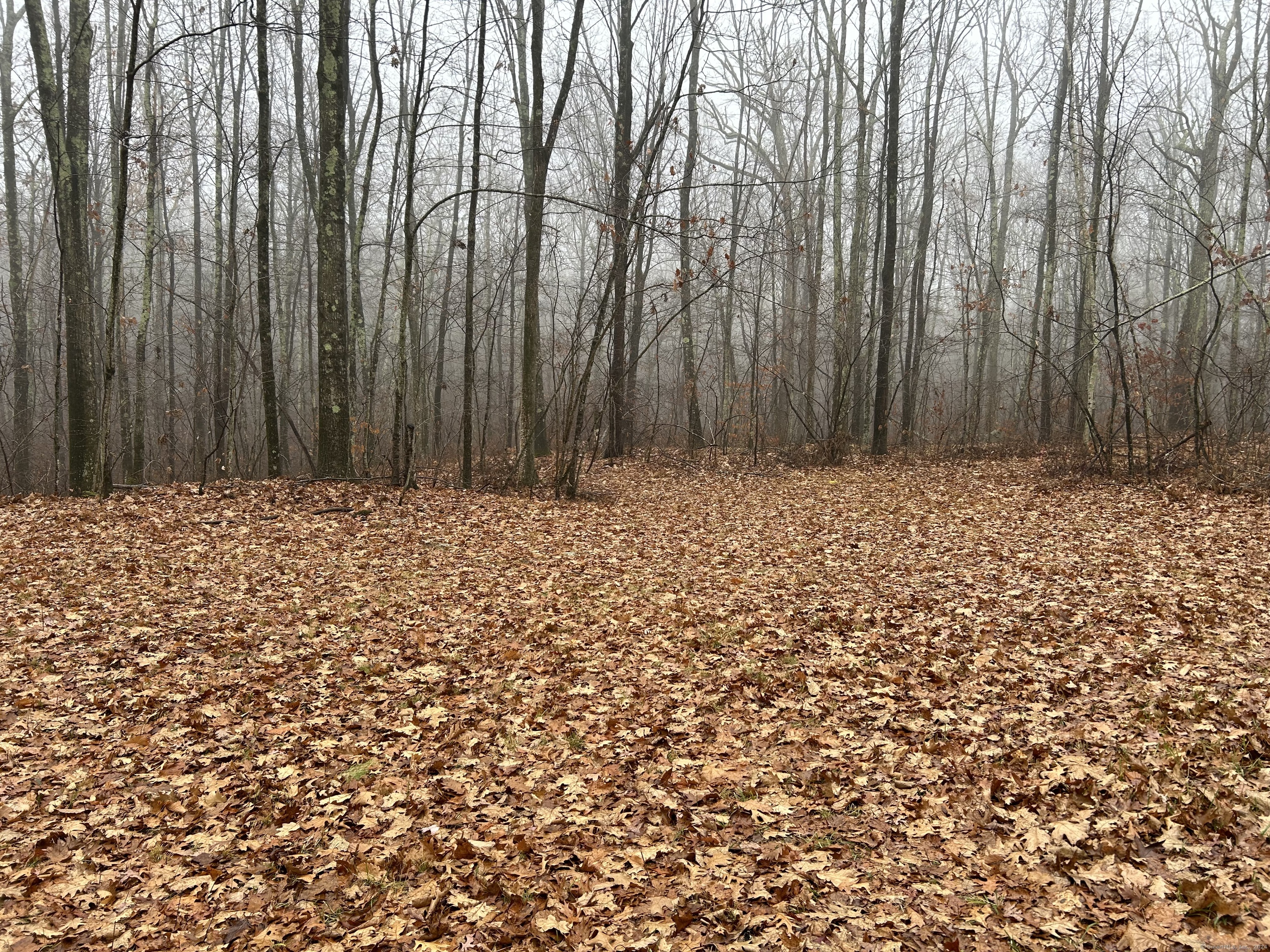 Westwoods Road # 1, Sharon, Connecticut image 5