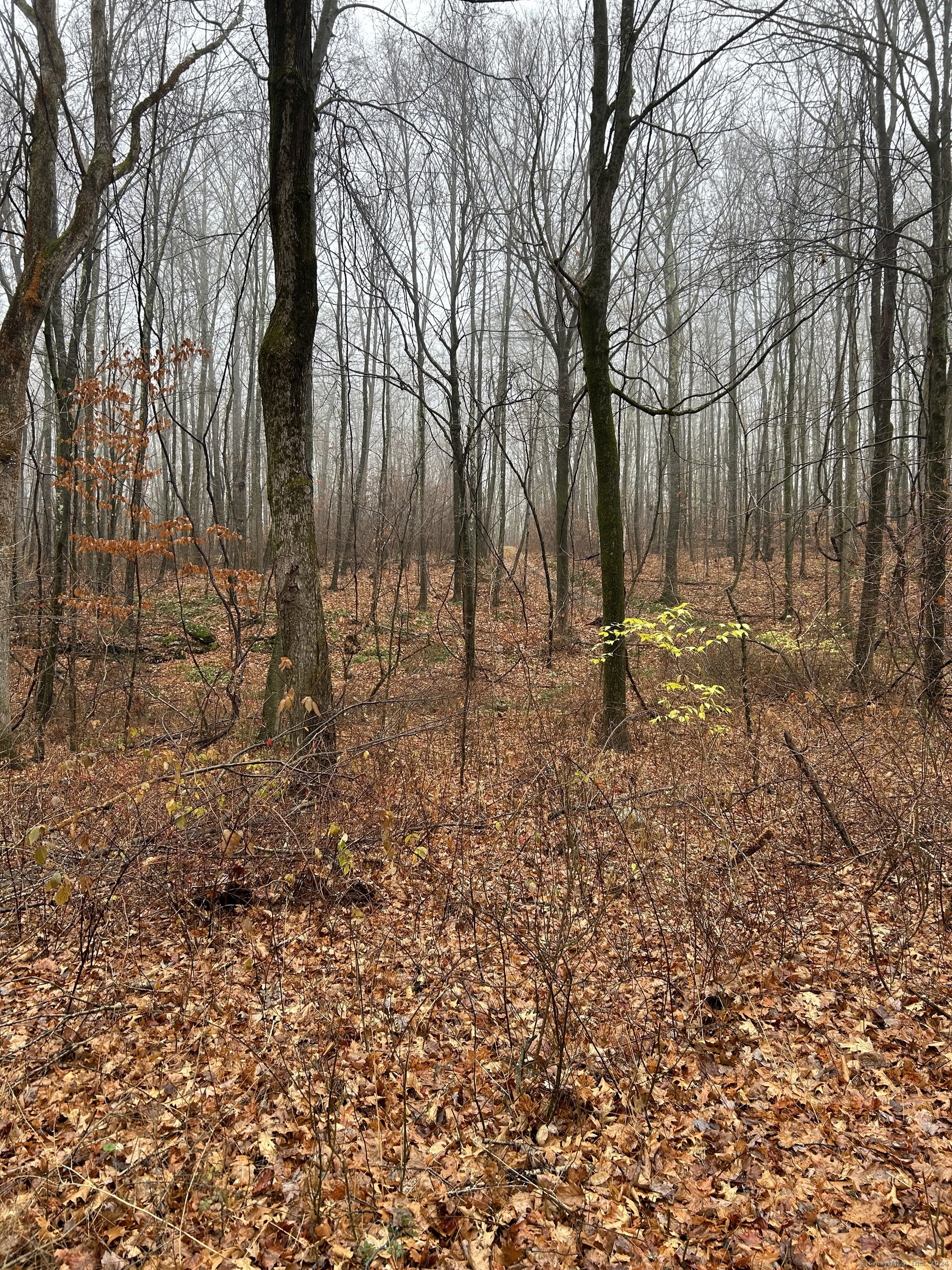 Westwoods Road # 1, Sharon, Connecticut image 6