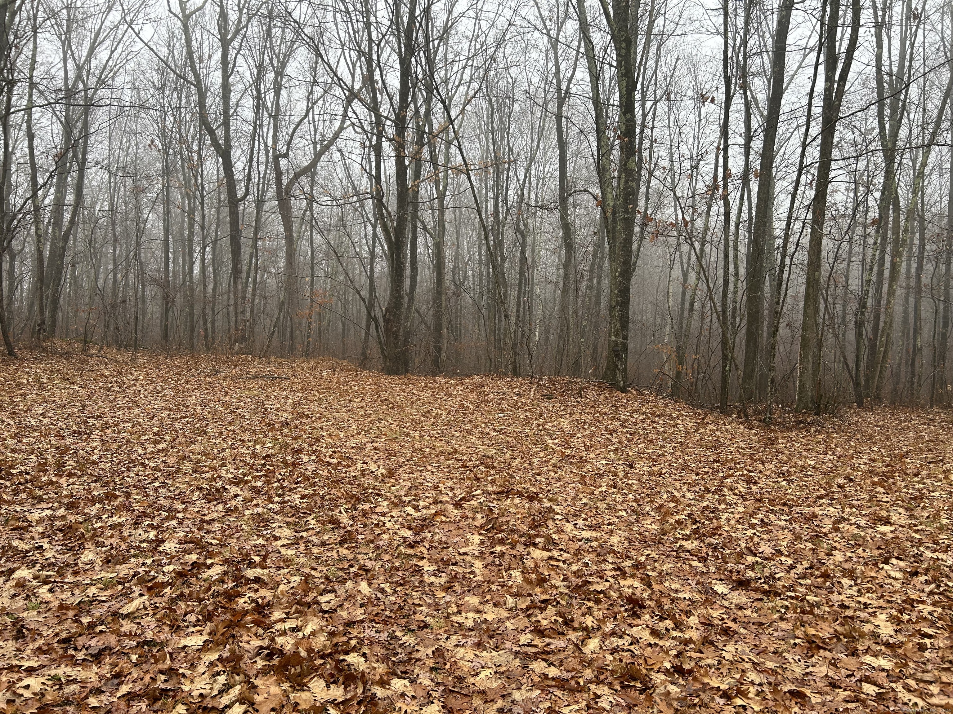 Westwoods Road # 1, Sharon, Connecticut image 7