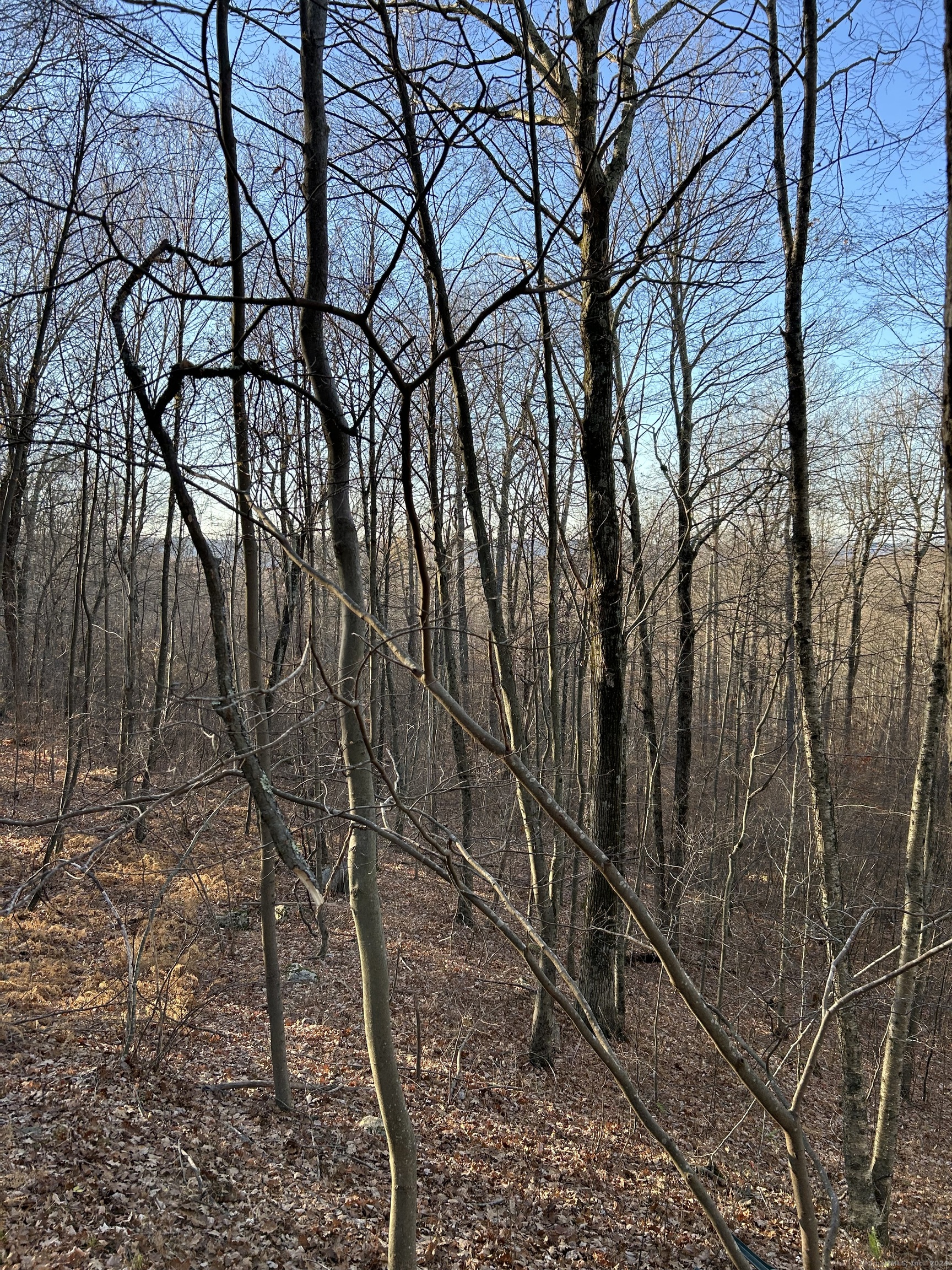 Westwoods Road # 1, Sharon, Connecticut image 11