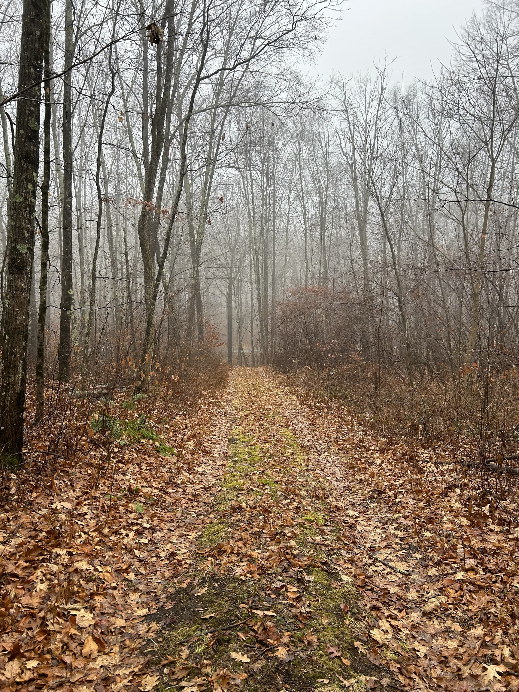Westwoods Road # 1, Sharon, Connecticut image 4