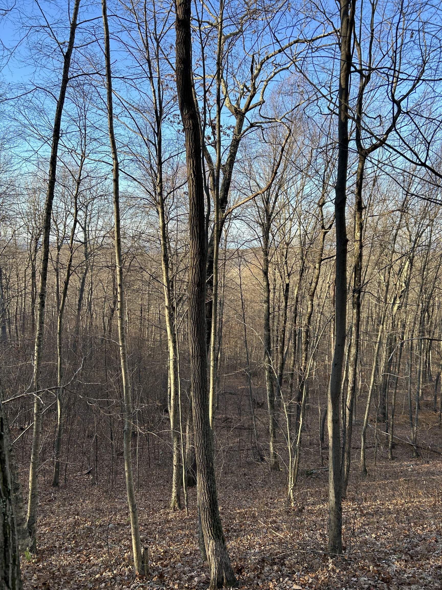 Westwoods Road # 1, Sharon, Connecticut image 9