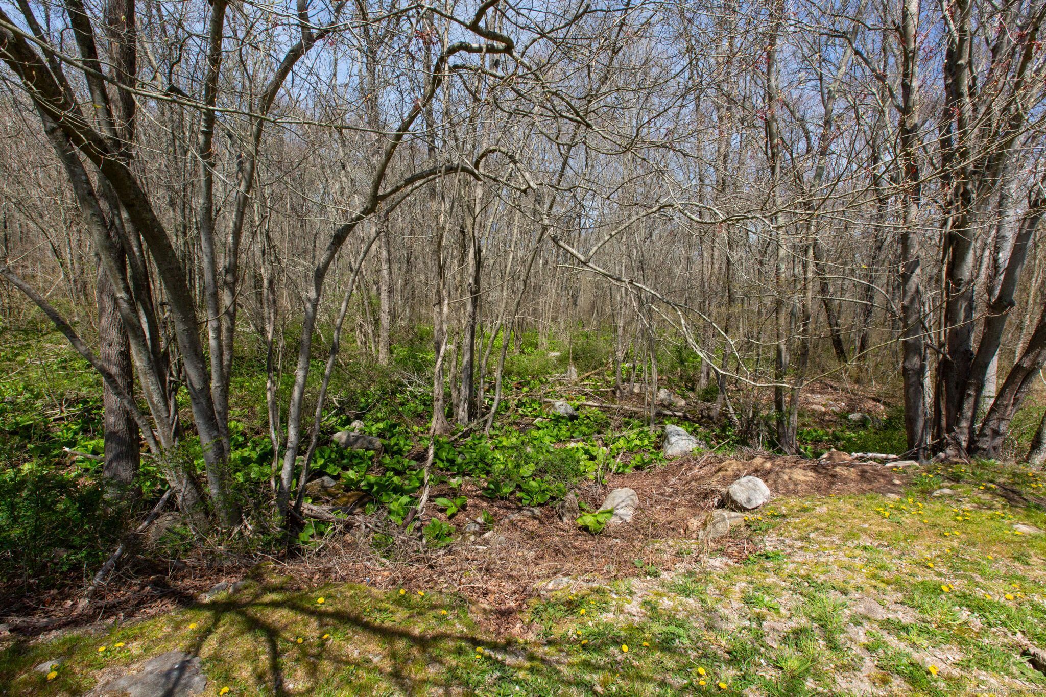 78 Mary Hall Road, Stonington, Connecticut image 21