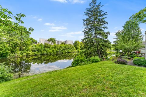 3 Clemens Court 3 Rocky Hill CT 06067
