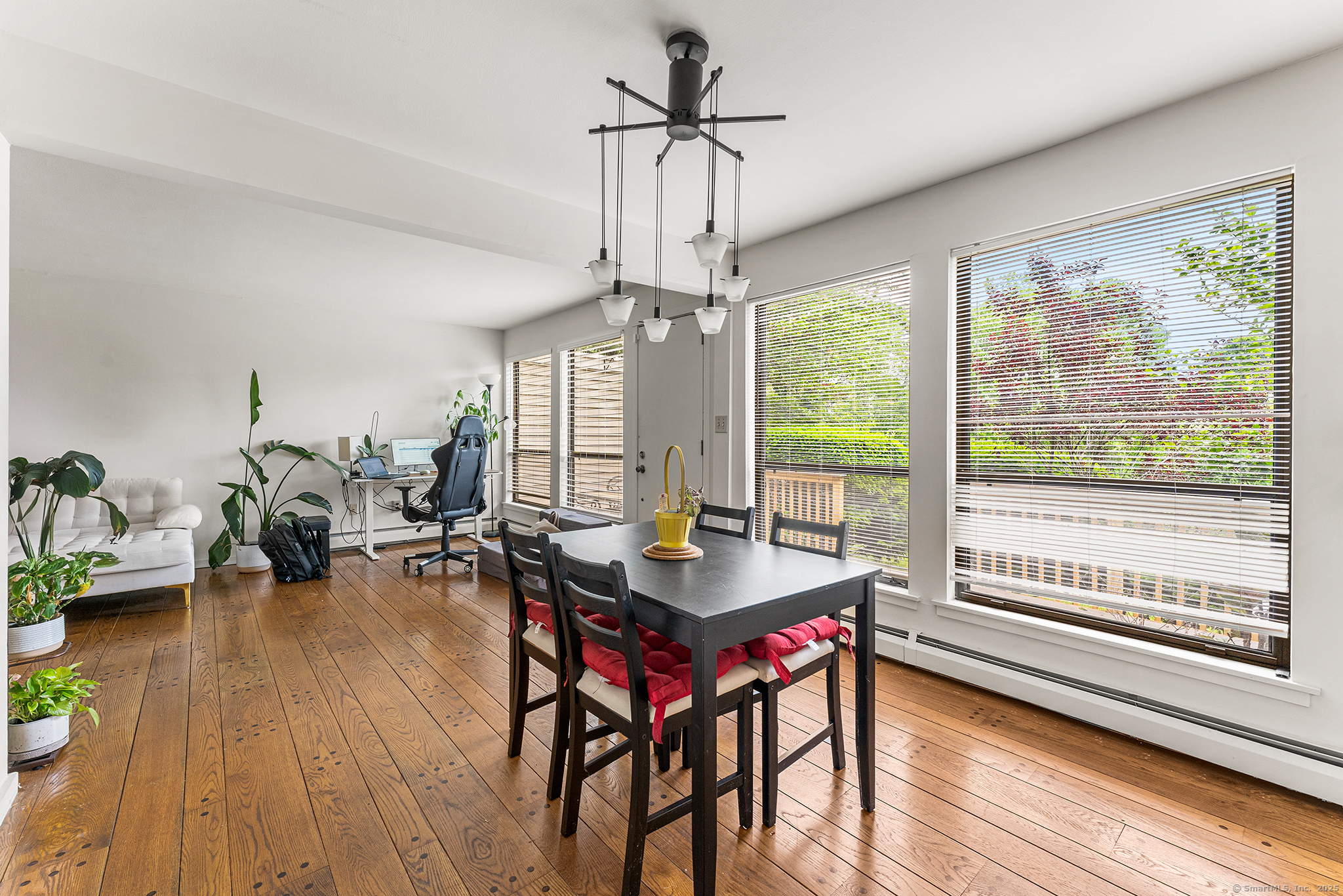 3 Clemens Court 3