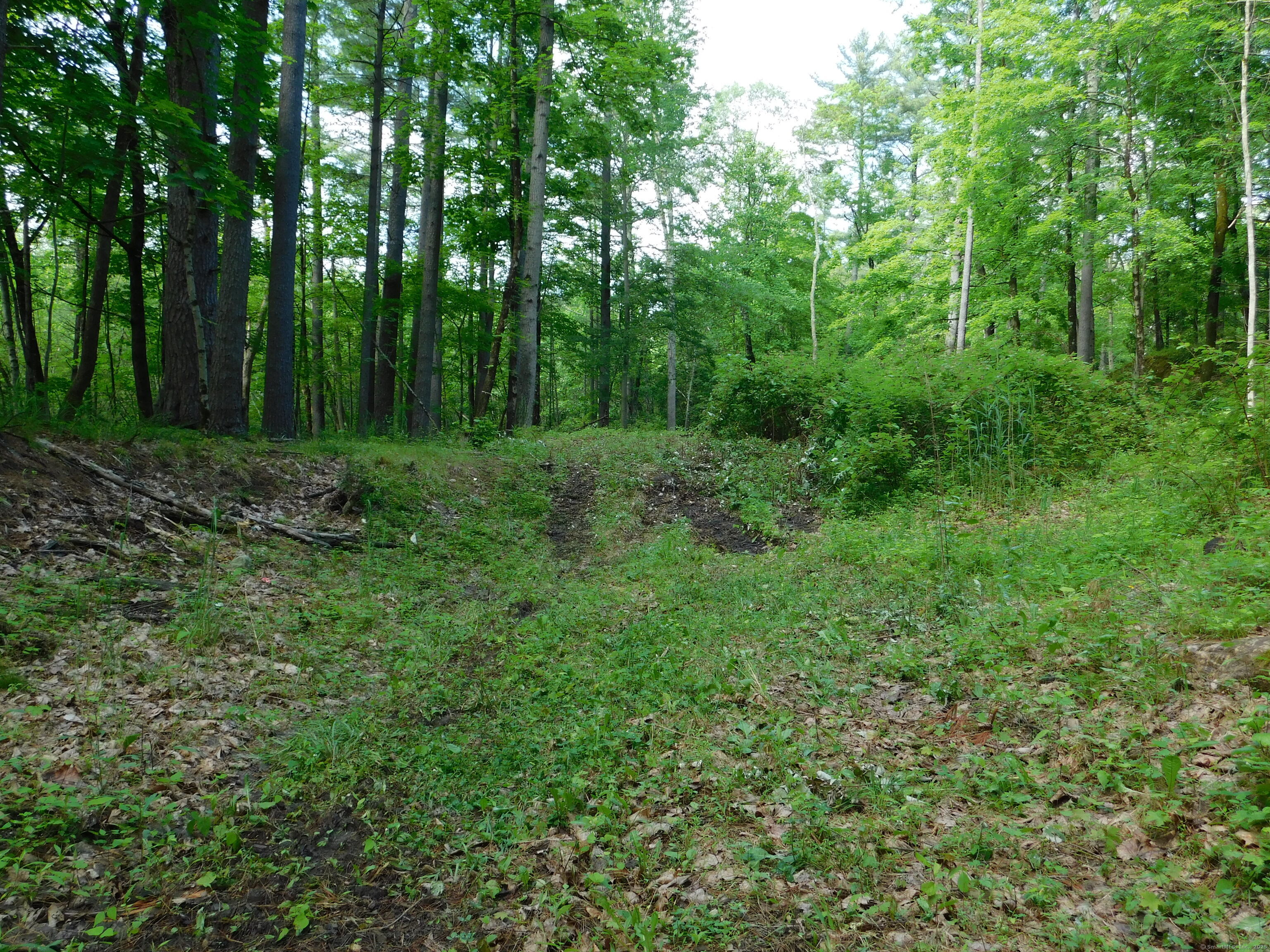 215 Taconic Road
