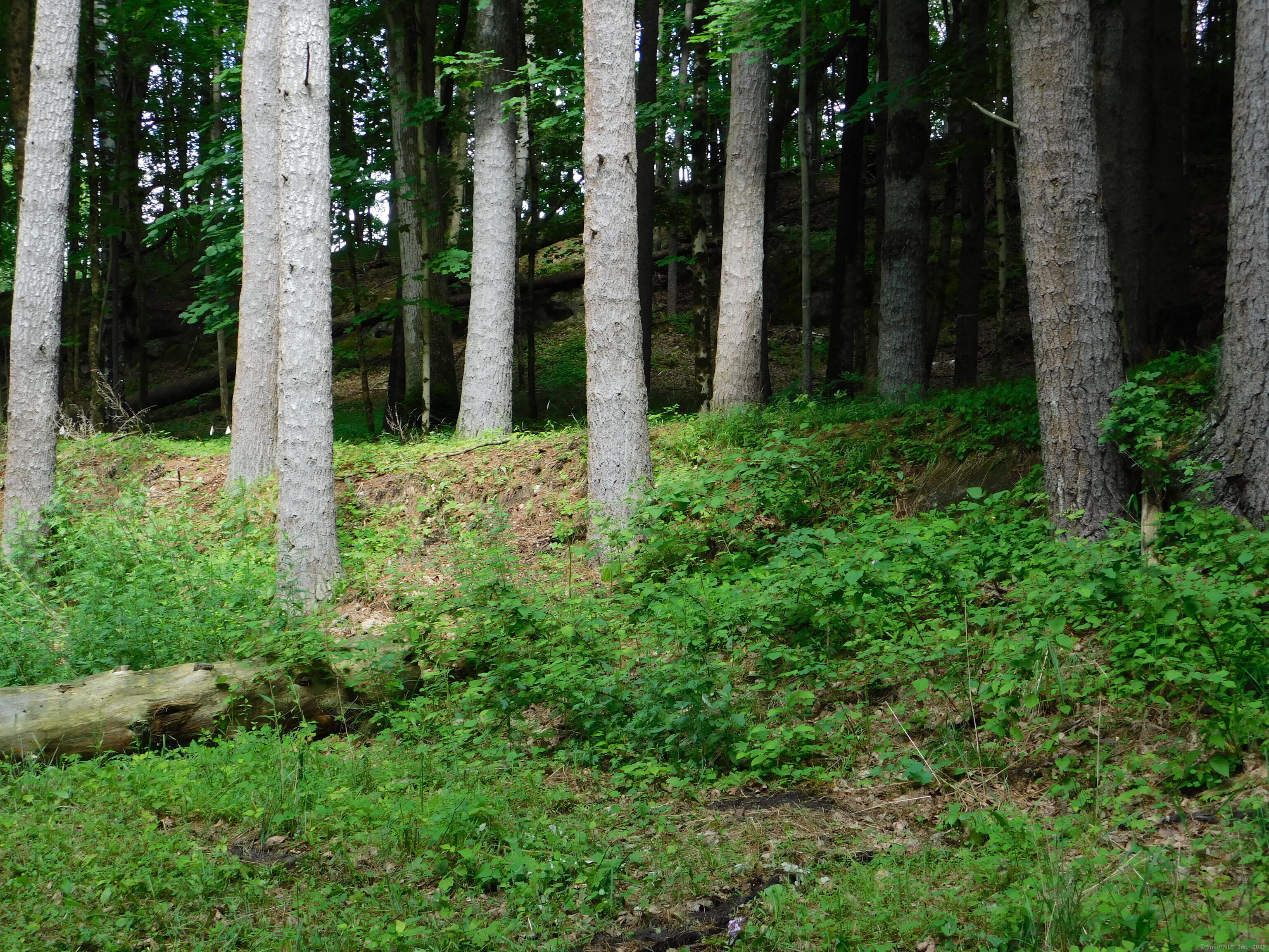 215 Taconic Road
