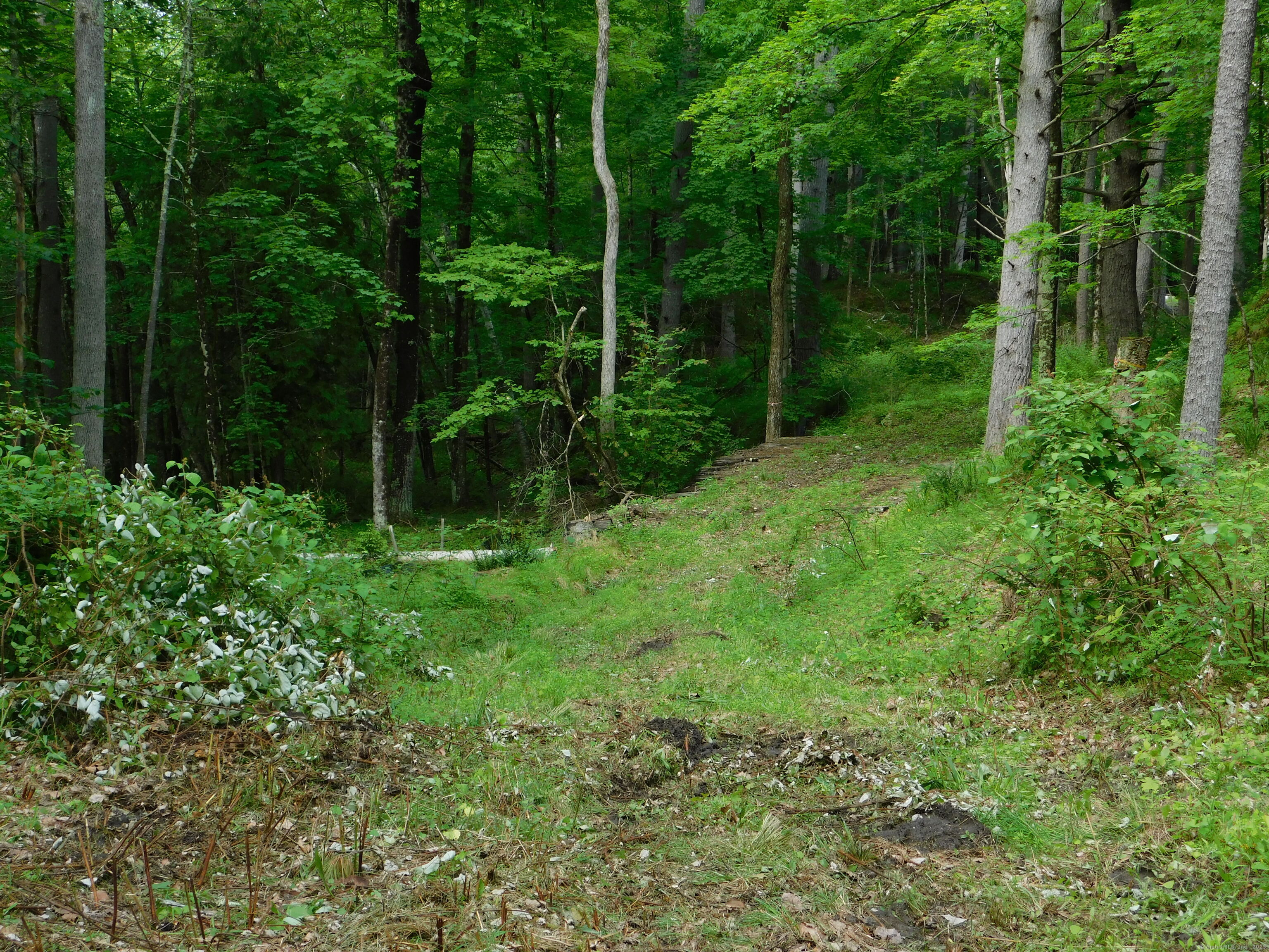 215 Taconic Road