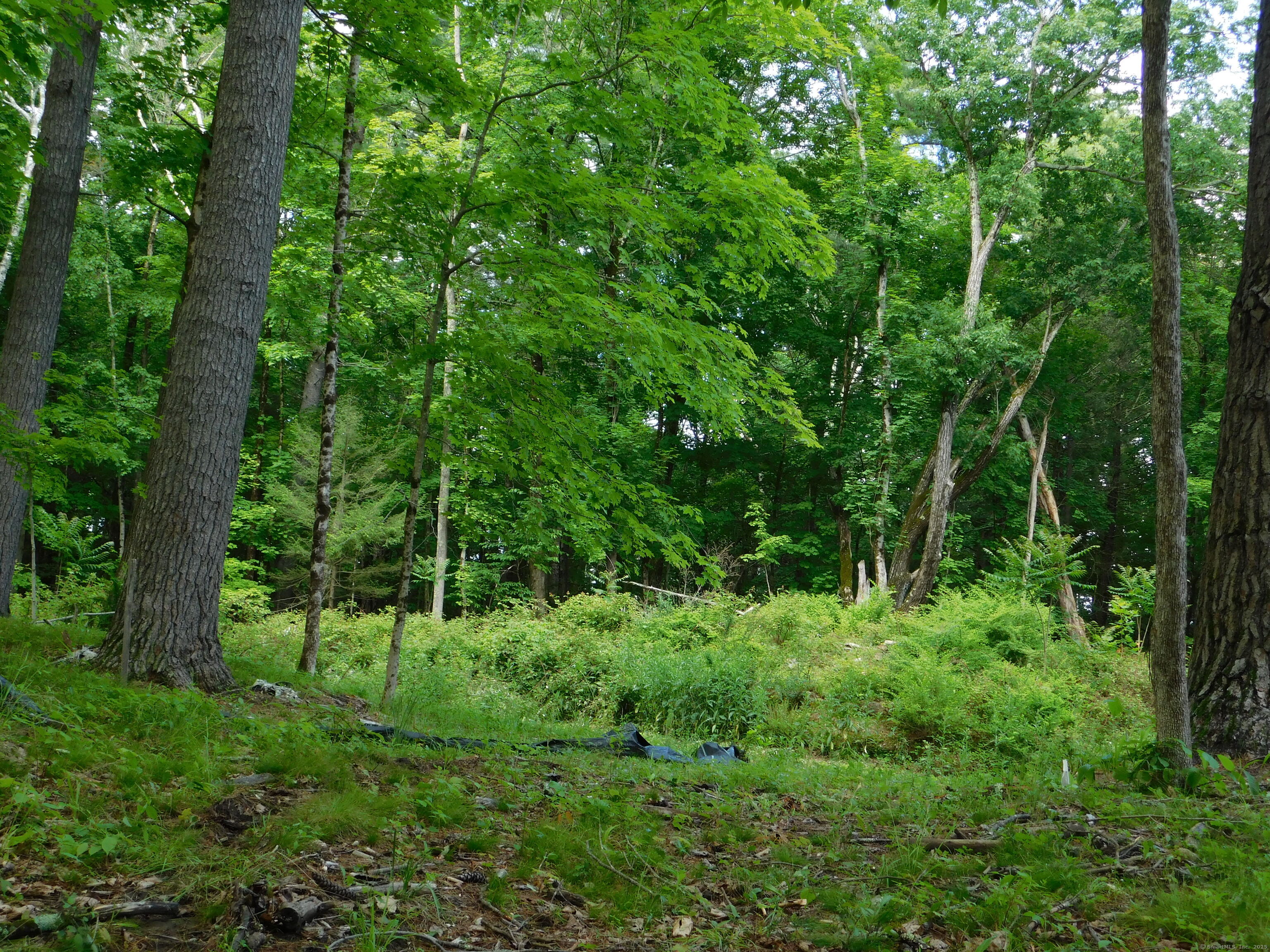 215 Taconic Road