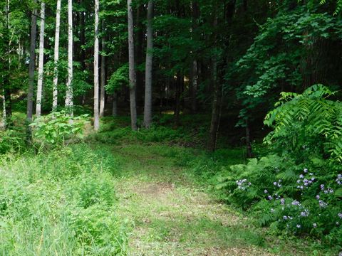 215 Taconic Road Salisbury CT 06068