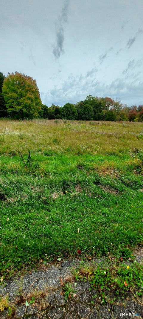 Photo of Parcel 253-16-288 Exeter Road, Lebanon, CT 06248 (MLS # 24209920)