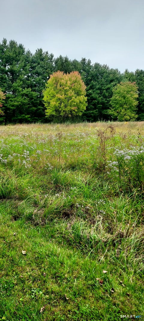 Tiny photo for Parcel 253-16 Exeter Road, Lebanon, CT 06248 (MLS # 24209920)