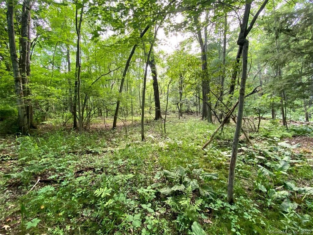 Photo 1 of 18 of 68 Scoville Road land