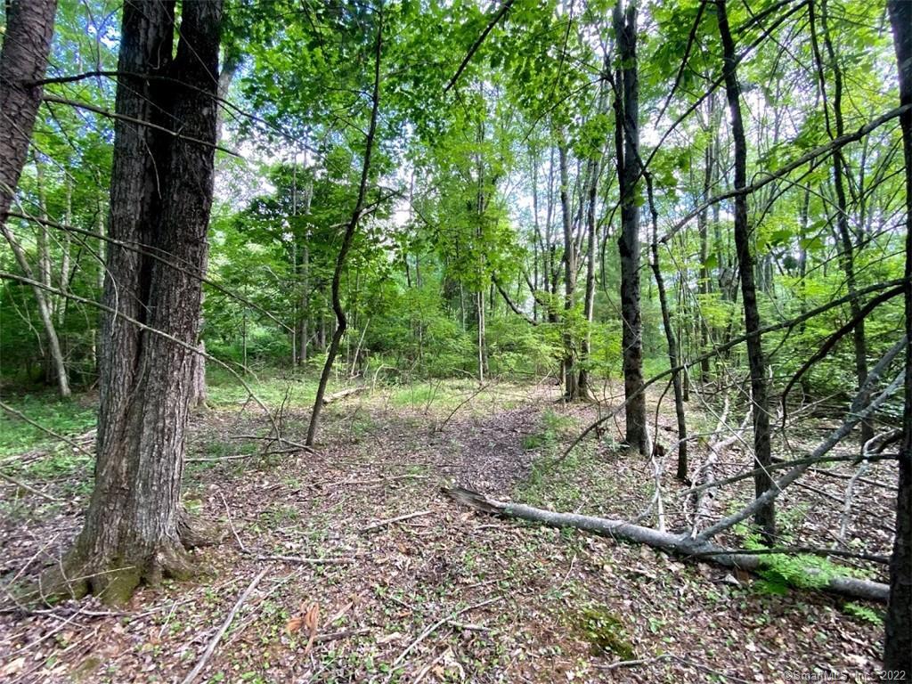 Photo 2 of 18 of 68 Scoville Road land
