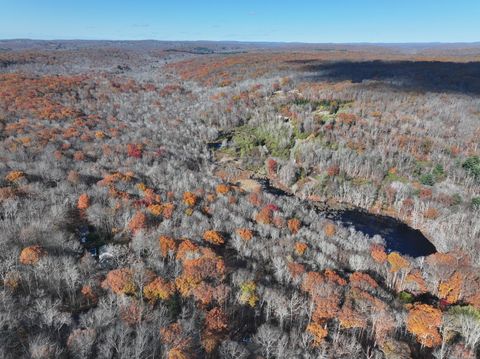 Tiny photo for 00 Bunker Hill Road, Andover, CT 06232 (MLS # 24138326)