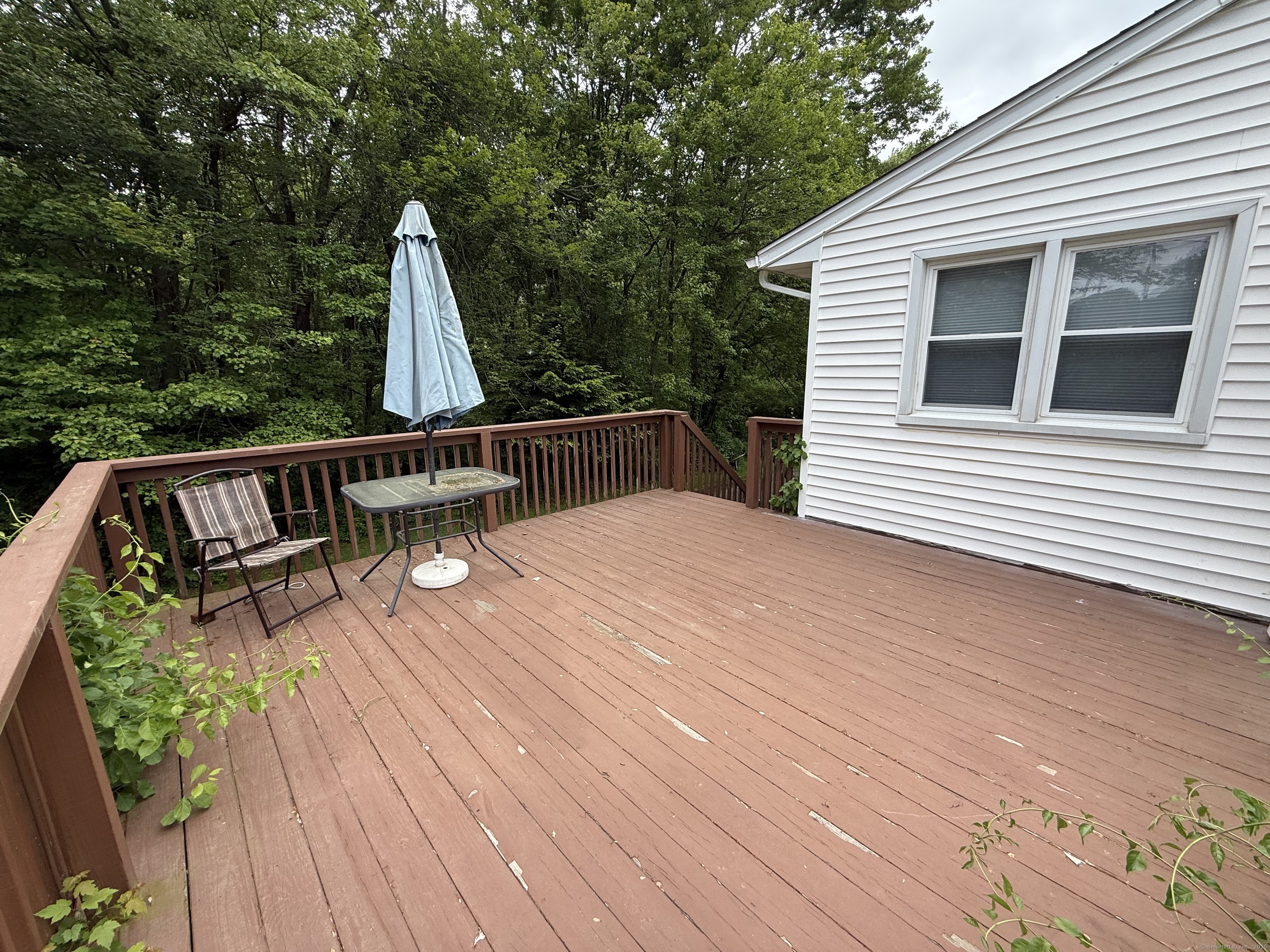 141 Birchwood Street, Waterbury, Connecticut image 19