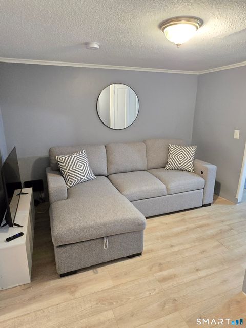 Tiny photo for 103 Capen Street #LL, Windsor, CT 06095 (MLS # 24172250)