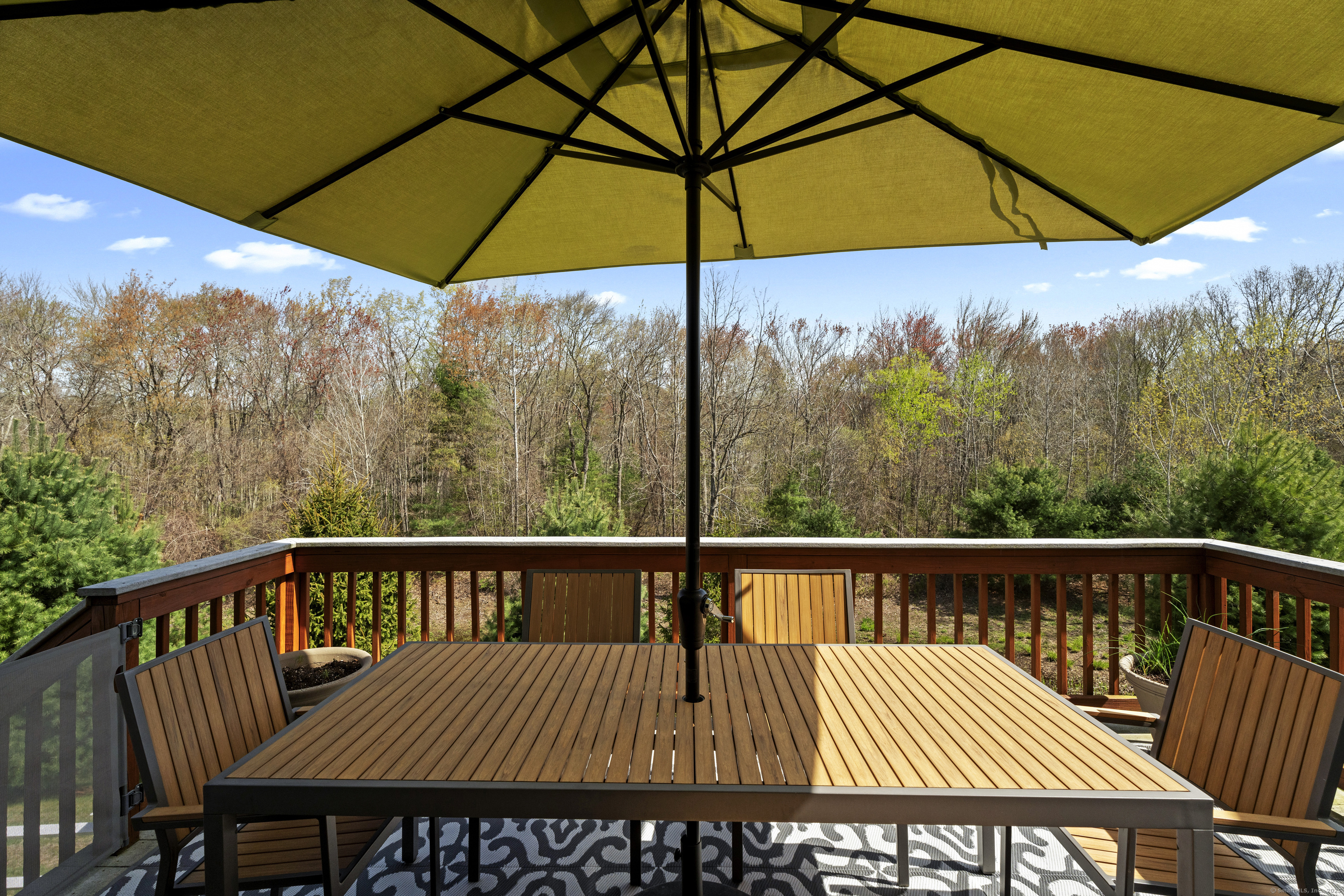 15 Meadowview Court #15, Canton, Connecticut image 35