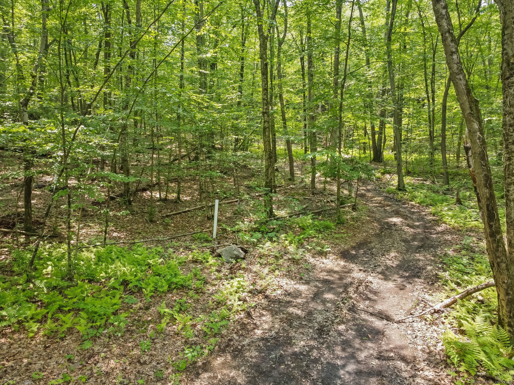 Parcel B Old Moose Hill Road