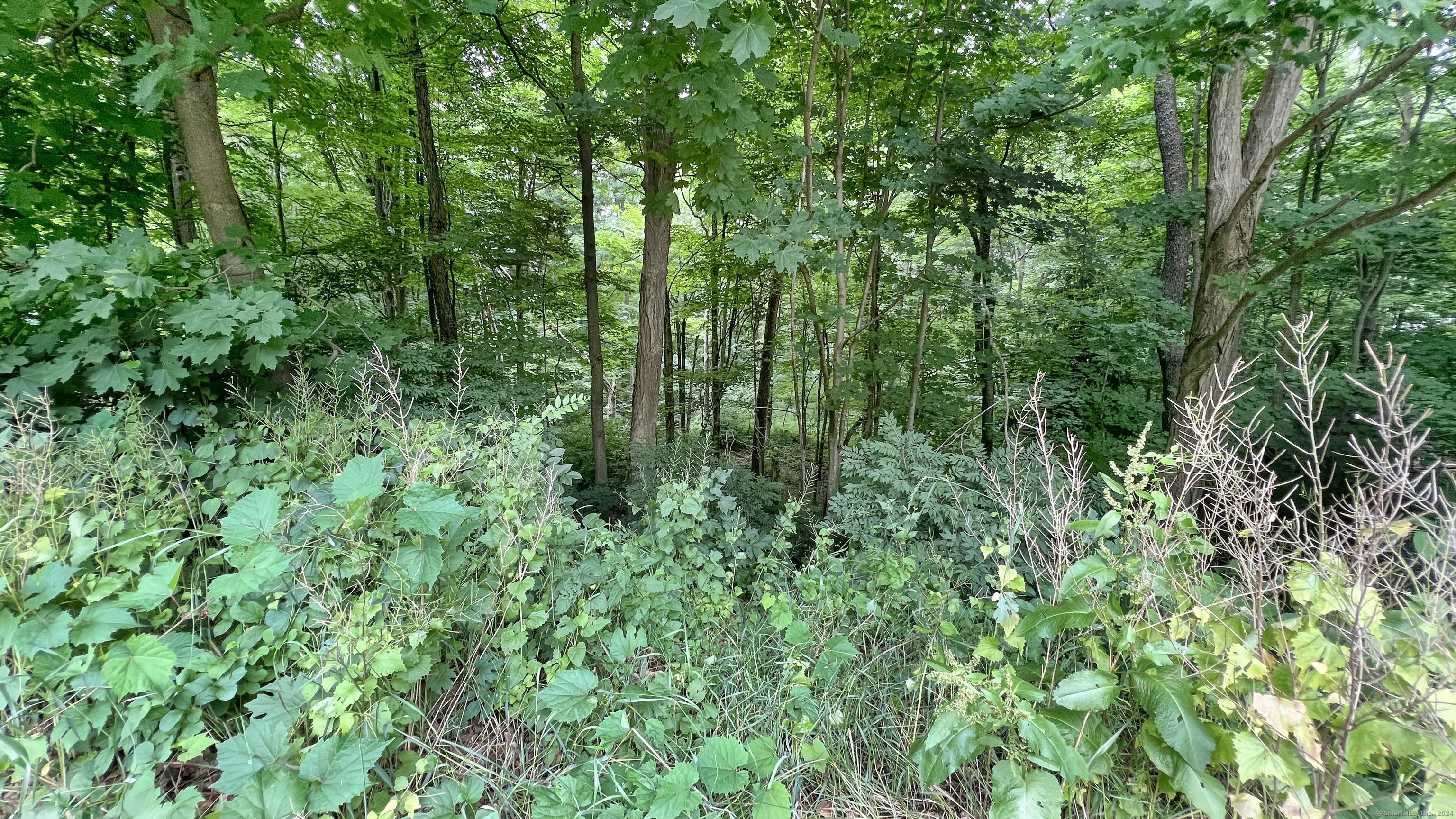 Photo 1 of Center Road, Vernon, Connecticut, $29,900, Web #: 24027600